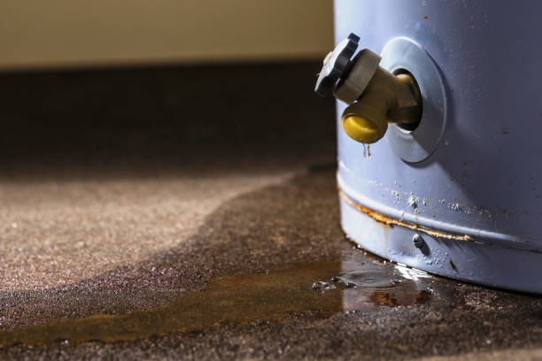  Helemano, HI Water damage restoration Pros