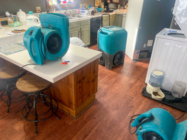 Best Ceiling water damage repair  in Helemano, HI