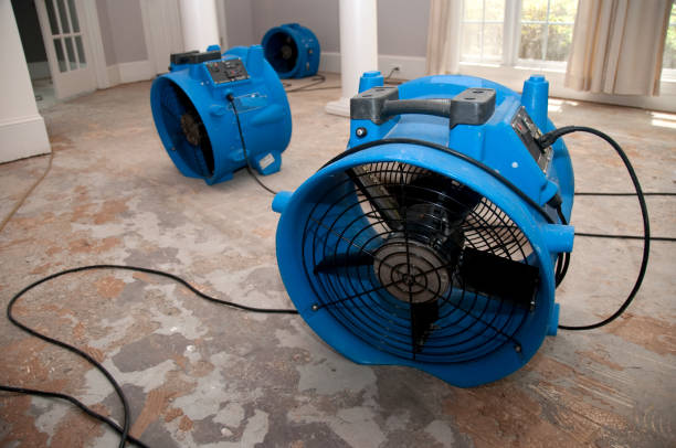 Best Sewage cleanup and water damage restoration  in Helemano, HI