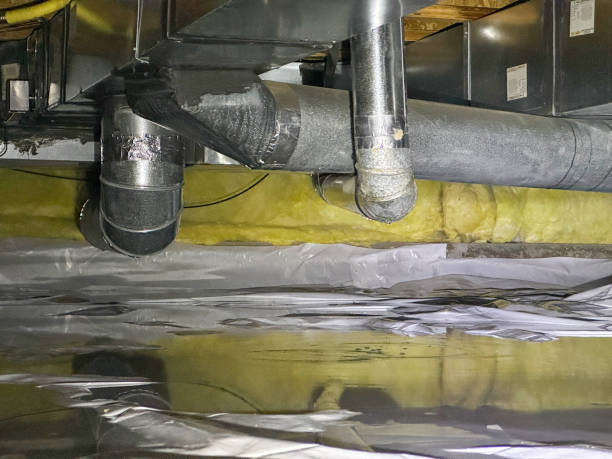 Best Water damage cleanup near me  in Helemano, HI