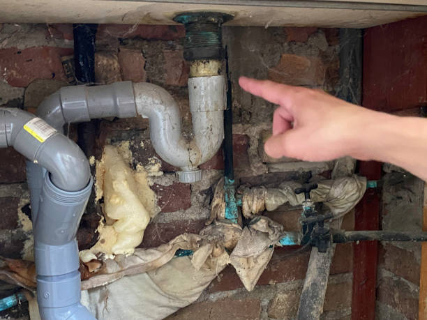 Best Carpet water damage restoration  in Helemano, HI
